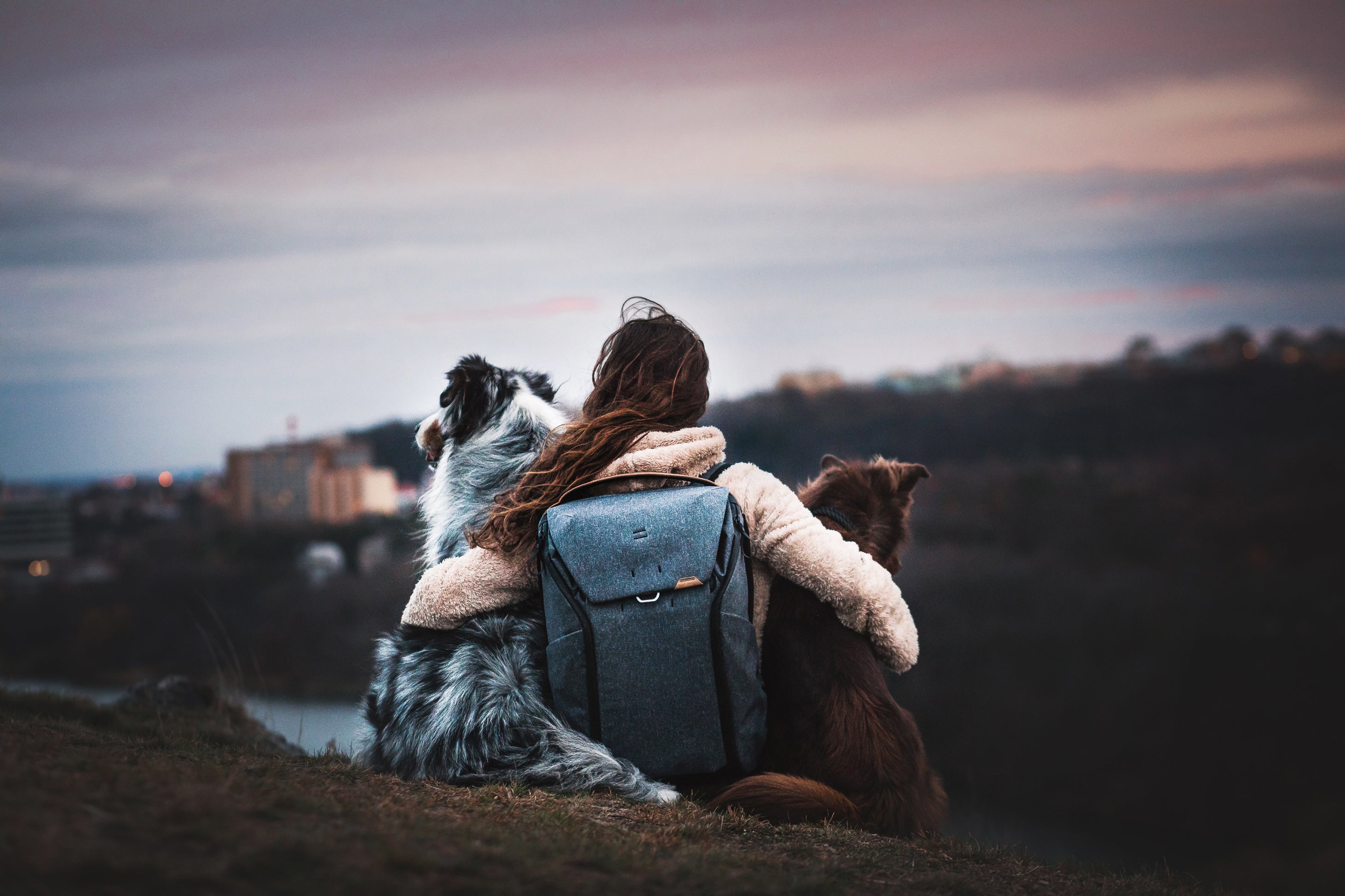 Peak Design Everyday Backpack 20L V2 多功能攝影背包 Peak Design