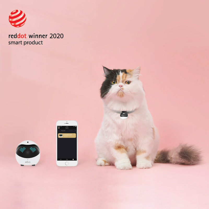 Enabot EBO Catpal 寵物互動機械人 Enabot