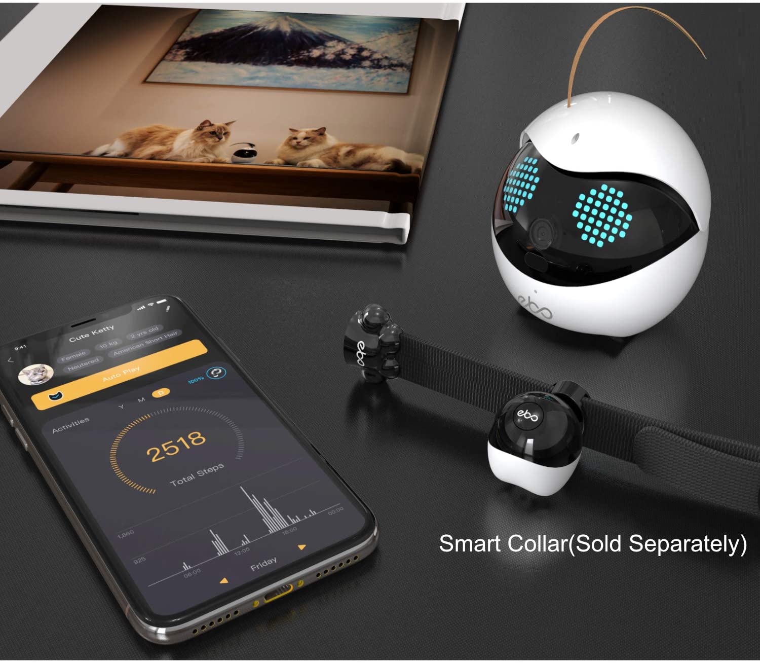 Enabot EBO Catpal 寵物互動機械人 Enabot